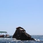 Land's End & Snorkel Tour in a Glass Bottom Boat (VisitA Cabo) - Frequently Asked Questions (FAQ)
