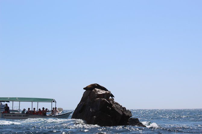 Land's End & Snorkel Tour in a Glass Bottom Boat (VisitA Cabo) - Frequently Asked Questions (FAQ)