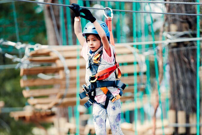 Lane Poole Park Dwellingup - Junior Tree Ropes & Ziplining - What Past Travelers Say