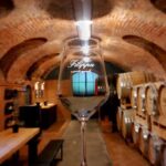 Langhe e Monferrato: Tour & Wine tasting of Agliano Wines - Why This Tour Is a Great Choice
