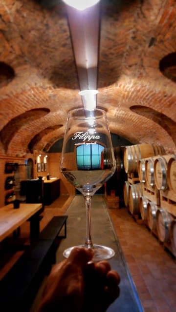 Langhe e Monferrato: Tour & Wine tasting of Agliano Wines - Why This Tour Is a Great Choice