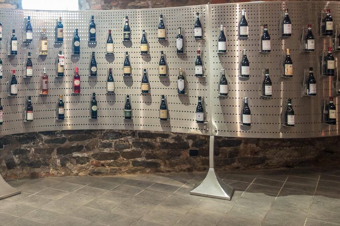 Langhe Experience - Who Will Appreciate This Tour?