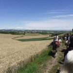 Langhe: Horse Riding in the Vineyards - What Is the Horse Riding Experience Like?