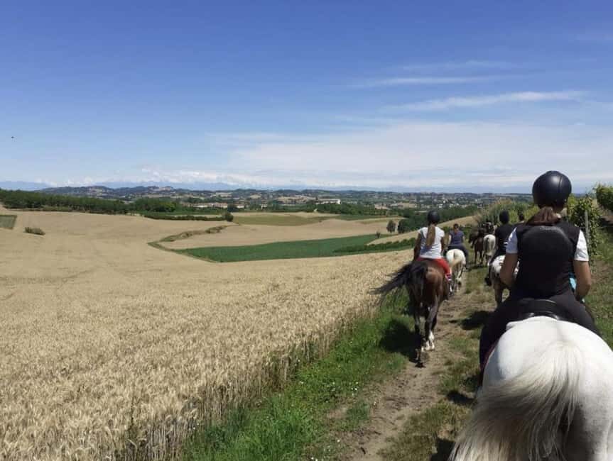 Langhe: Horse Riding in the Vineyards - What Is the Horse Riding Experience Like?