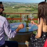 Langhe & Monferrato: Vineyard Tour and Wine Tasting - An In-Depth Look at the Vineyard Experience