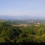 Langhe: Visit to the Vineyard and Historic Cellars with Tasting - Who Will Love This Tour?
