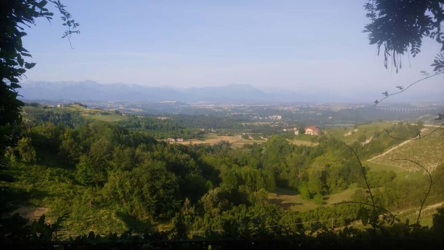Langhe: Visit to the Vineyard and Historic Cellars with Tasting - Who Will Love This Tour?