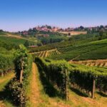 Langhe Wine & Food Tour from Turin: Barolo and More - Frequently Asked Questions