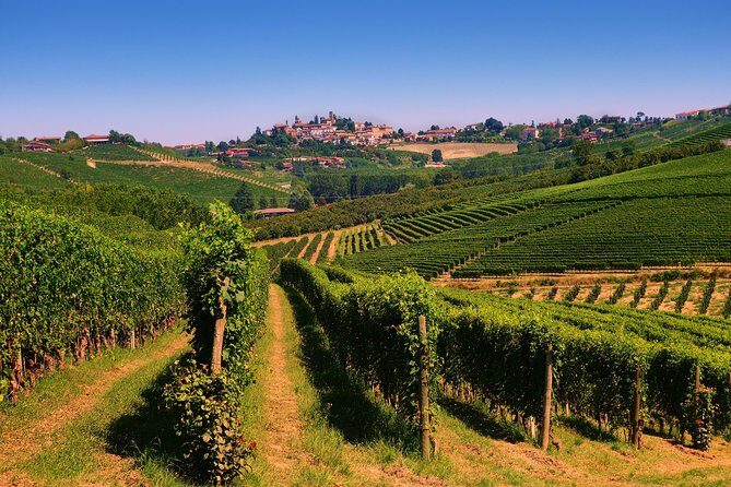 Langhe Wine & Food Tour from Turin: Barolo and More - Frequently Asked Questions
