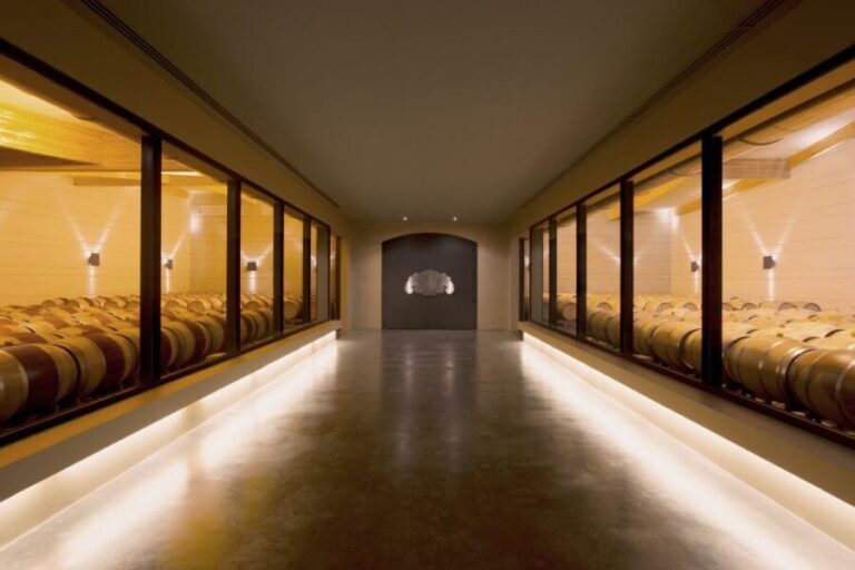 Languedoc: Tour and Tasting at Domaine de Baronarques - The Tour: A Close-Up Look at Winemaking