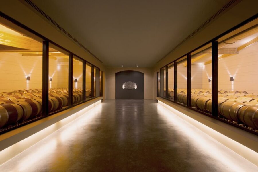 Languedoc: Tour and Tasting at Domaine de Baronarques - The Tour: A Close-Up Look at Winemaking