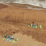 Lanzarote: 2 or 4 Hour Surf Lessons in Famara - The Details of the Surf Experience