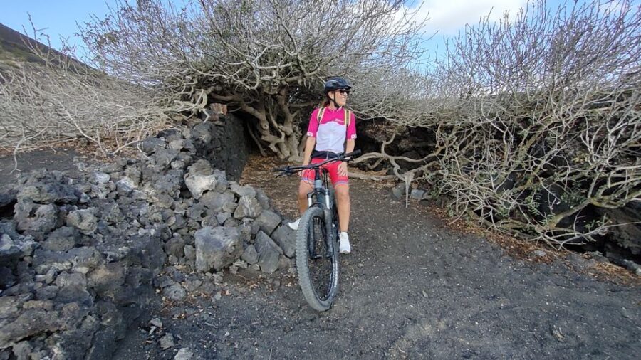 Lanzarote: Guided ebike tours around the volcanoes