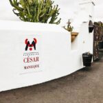 Lanzarote: Legacy of César Manrique Guided Tour - A Detailed Look at the Tour Experience