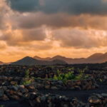 Lanzarote: Sunset vineyard tour with wine and chocolate tasting - Practical Considerations for Visitors
