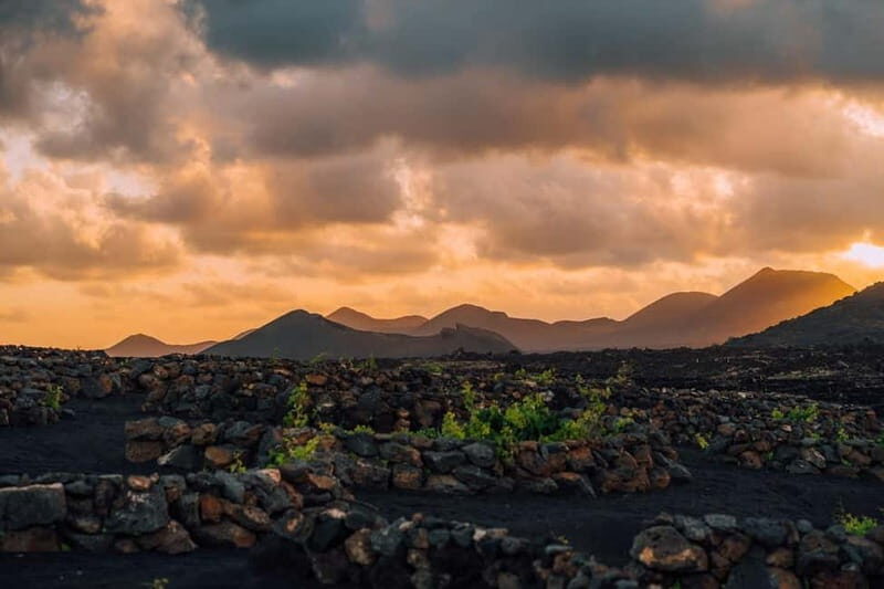 Lanzarote: Sunset vineyard tour with wine and chocolate tasting - Practical Considerations for Visitors
