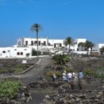 Lanzarote: Vineyard Tour with Wine and Chocolate Tasting - What to Expect From the Tour