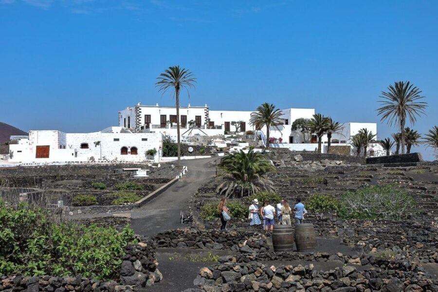 Lanzarote: Vineyard Tour with Wine and Chocolate Tasting - What to Expect From the Tour