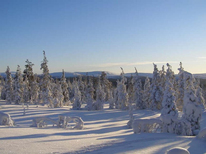 Lapland: A Day at a Traditional Log Cabin & Snowshoe Trek - Who Would Enjoy This Tour?