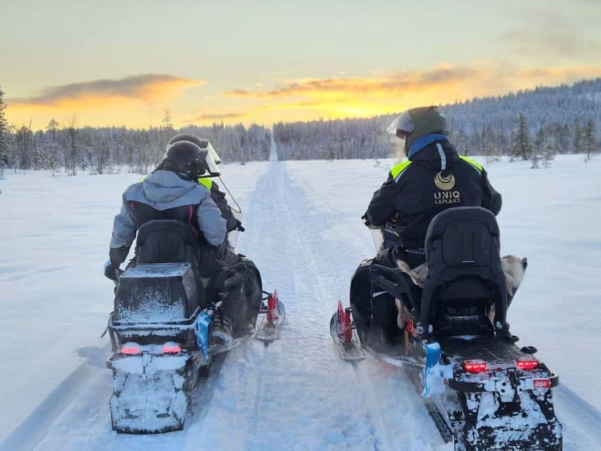 Lapland: Exclusive Private 7h Snowmobile Tour with Guide - Final Thoughts