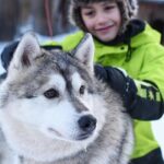 Lapland Husky Safari from Saariselkä - The Value: More Than Just a Ride