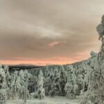 Lapland: Private Snowmobile Safari with arctic Local Guide - Who Should Consider This Tour?