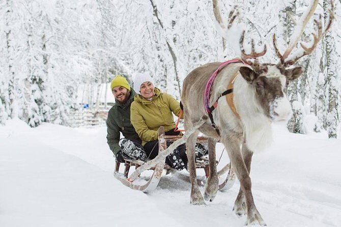 Lapland Reindeer and Husky Safari from Levi - Who Will Love This Tour?