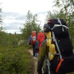Lapland: Three day trekking in the Swedish Highlands - What You’ll Love About This Tour