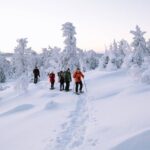 Lapland Winter Experience - Setting Out Into the Snowy Wilderness