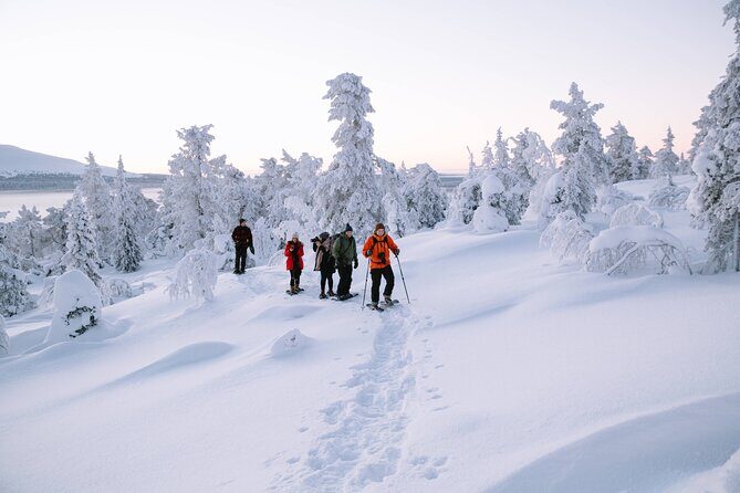 Lapland Winter Experience - Setting Out Into the Snowy Wilderness