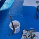 Larnaca: Private Fishing - Traditional Explorer N Vessel - Practical Considerations