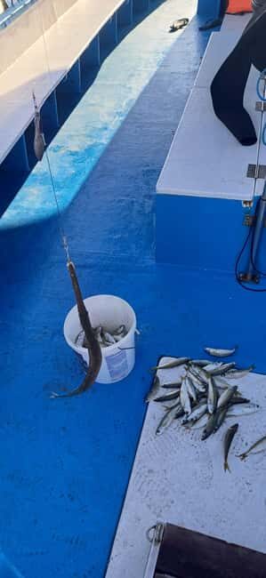 Larnaca: Private Fishing - Traditional Explorer N Vessel - Practical Considerations