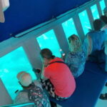 Larnaca: Yellow Submarine Mini Cruise with a Swim Stop - The Swim & Snorkel Stop