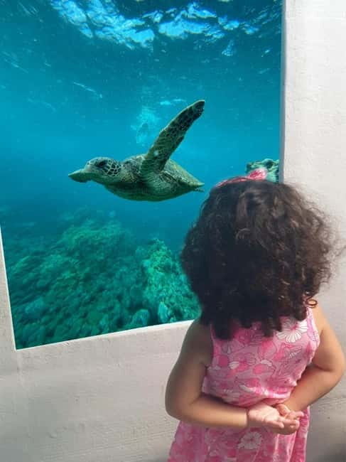 Larnaca: Yellow Submarine Swim Cruise with Unlimited Drinks - The Experience: What You Can Expect