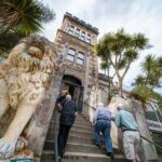 Larnach Castle & Otago Wildlife Cruise from Dunedin - A Deep Dive Into the Otago Peninsula Tour