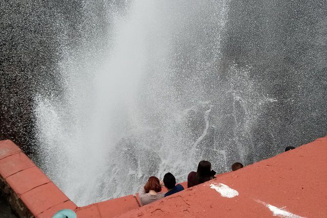 Las Canadas Ecopark and Bufadora private tour - Who Should Book This Tour?