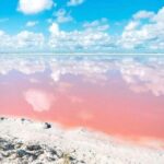 Las Coloradas and Rio Lagartos Day Tour from Cancun - Practical Considerations