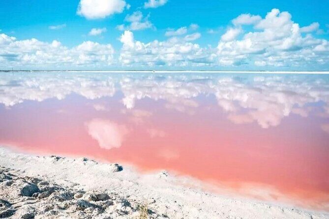 Las Coloradas and Rio Lagartos Day Tour from Cancun - Practical Considerations