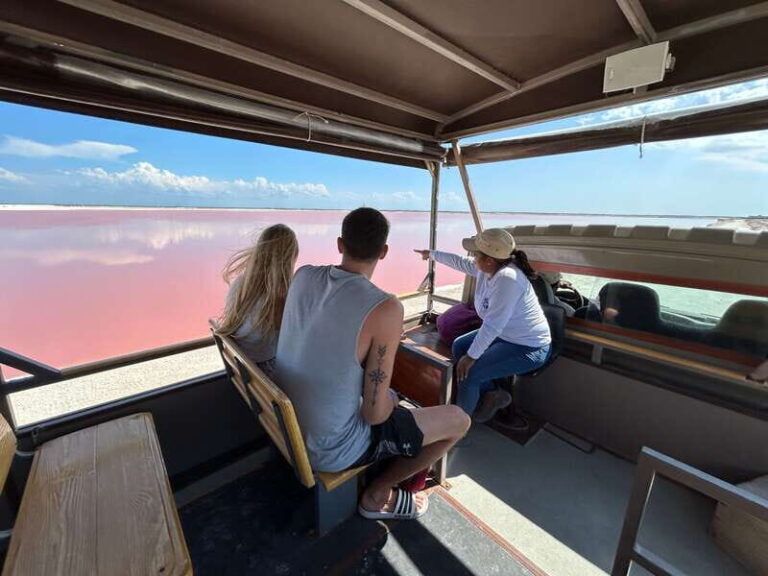 Las Coloradas: Pink Lakes Safari Tour - The Sum Up: Who Should Consider This Tour?