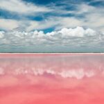 Las Coloradas Tour from Cancun and Playa del Carmen - How the Experience Feels