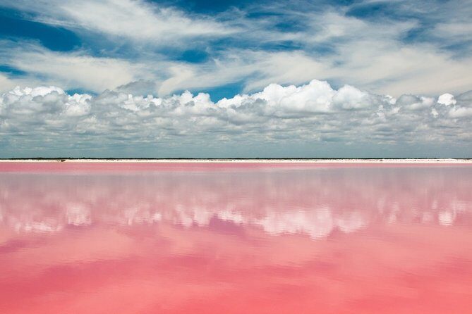 Las Coloradas Tour from Cancun and Playa del Carmen - How the Experience Feels