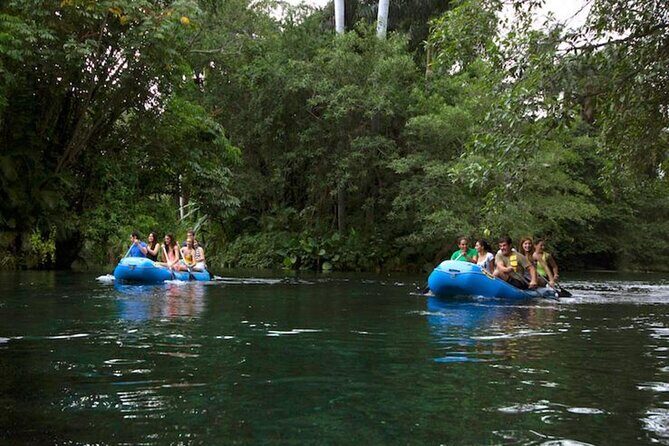 Las Estacas Natural Park Private Tour from Mexico City - An in-Depth Look at the Las Estacas Private Tour