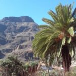 Las Palmas: 8-Hour Gran Canaria Island Highlights Tour - Transportation and Group Experience