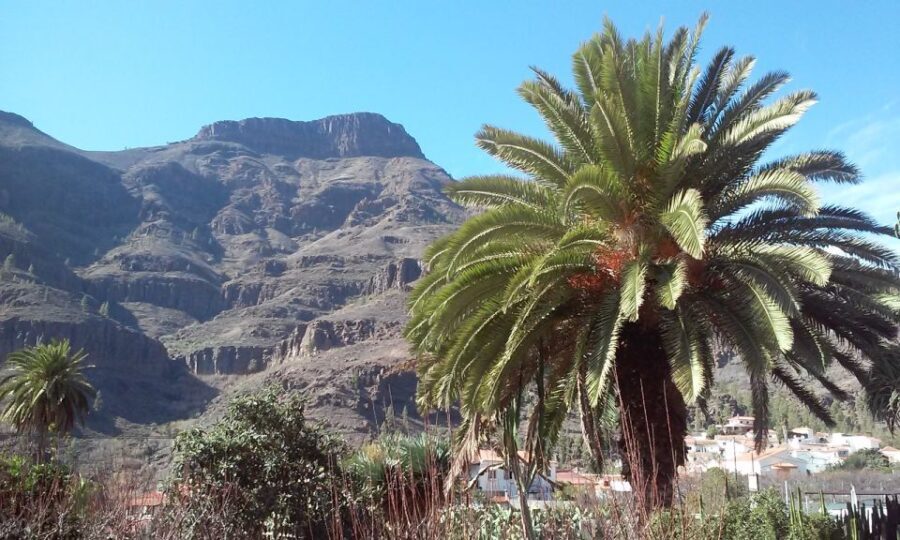 Las Palmas: 8-Hour Gran Canaria Island Highlights Tour - Transportation and Group Experience