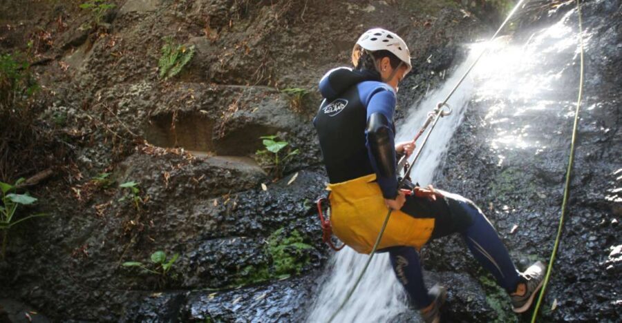 Las Palmas, Gran Canaria: Canyoning Adventure - Why It’s Worth the Price