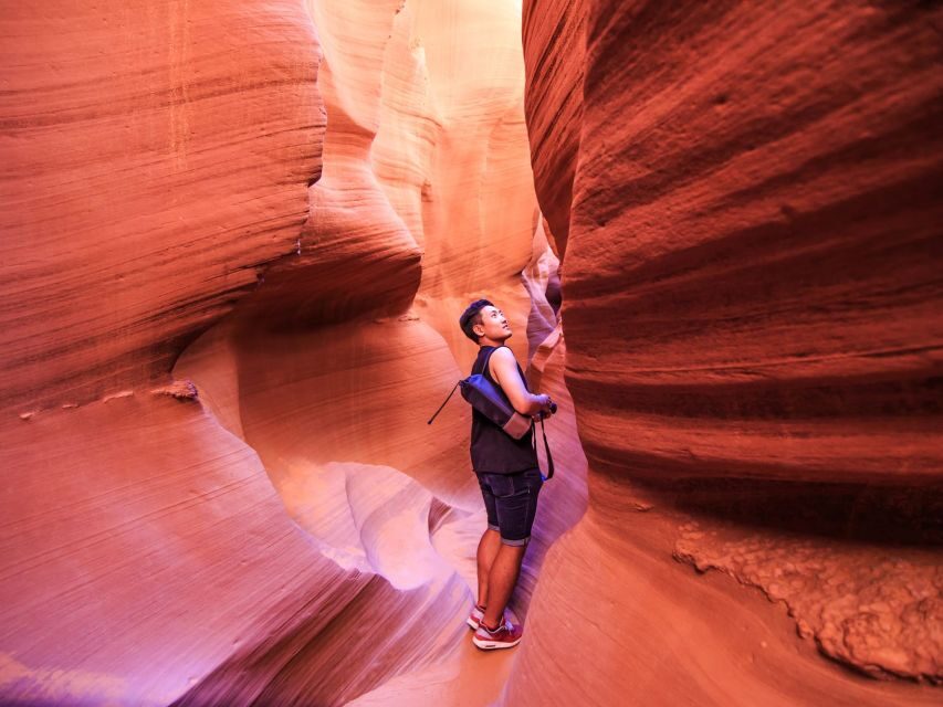 Las Vegas: Antelope Canyon & Horseshoe Bend Tour - What Travelers Say