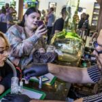 Las Vegas: Cannabis Tour with Weed Lounge & Party Bus - The Practicalities: Transportation, Price, and Group Size