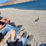 Las Vegas: Colorado River Adrenaline RZR Tour - A Detailed Look at the Colorado River Adrenaline RZR Tour