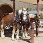 Las Vegas: Grand Canyon Ranch Tour with Horseback/Wagon Ride - Exploring the Route and What to Expect