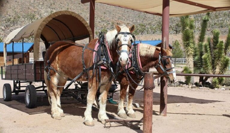Las Vegas: Grand Canyon Ranch Tour with Horseback/Wagon Ride - Exploring the Route and What to Expect